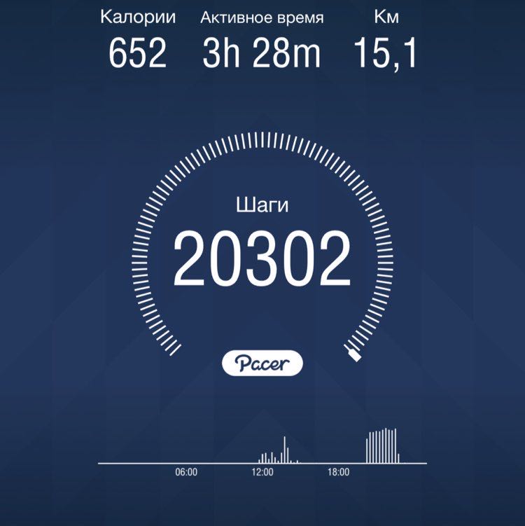 PacerЛейди_1988 post 1