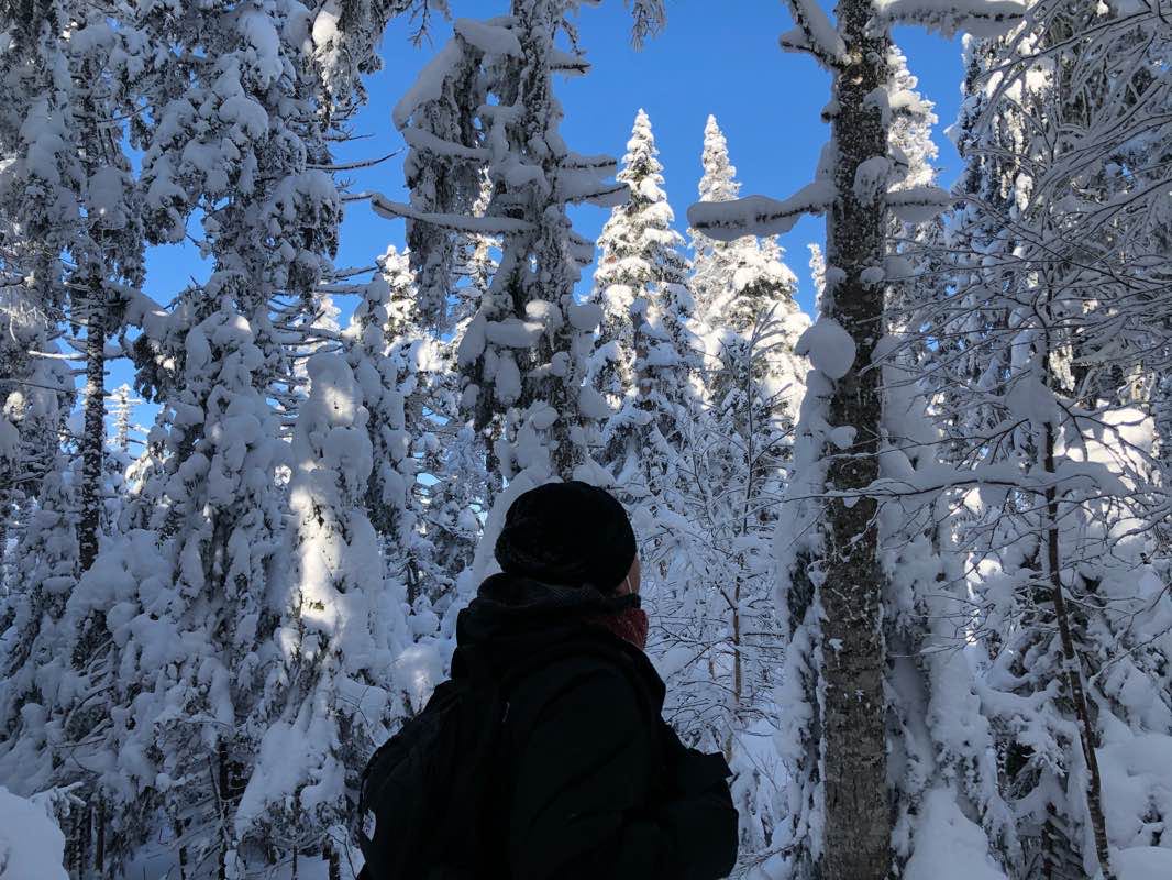 walking near me in Gibbs Brook Scenic Area in winter