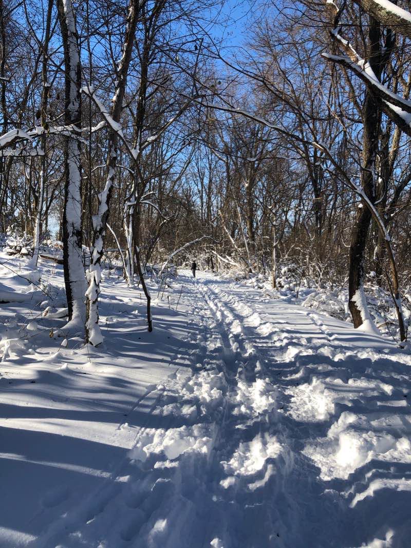 walking near me in Richard Landry Park in winter