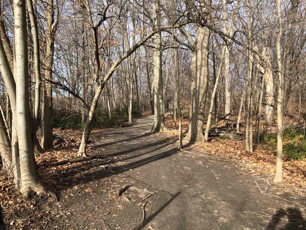 walking near me in Kingsley Park in winter