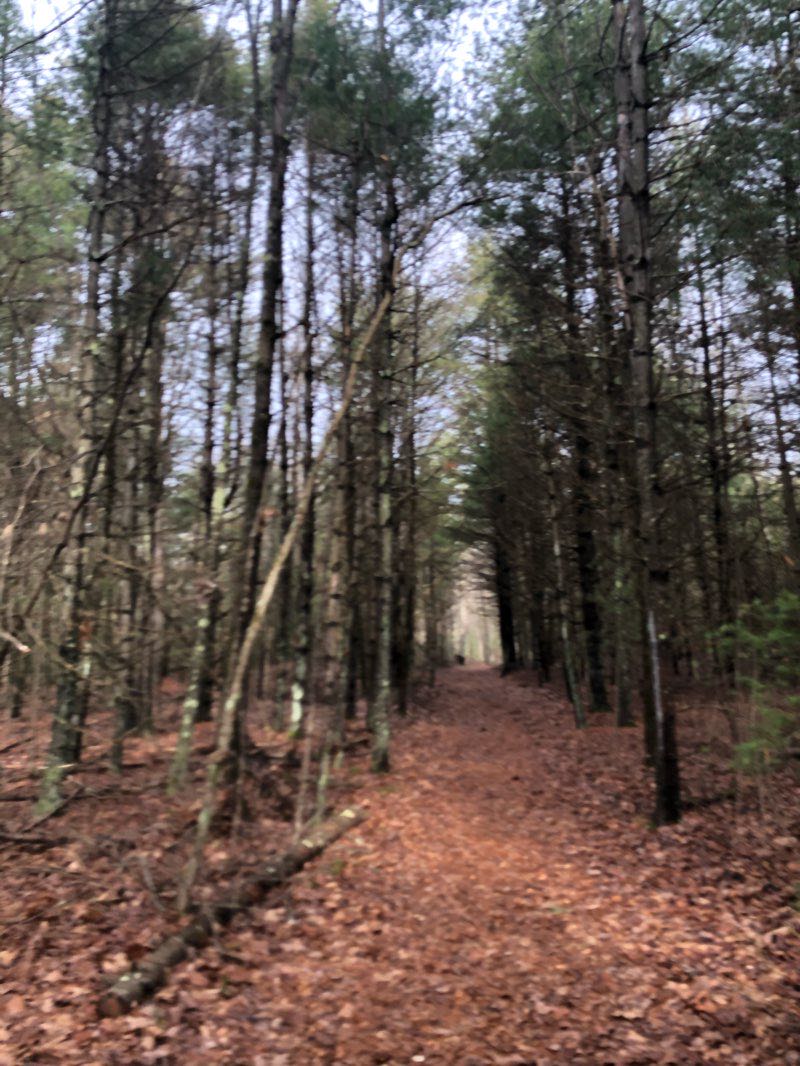 walking near me in Borderland State Park in winter
