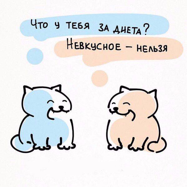 Krishka 🇷🇺 post 2