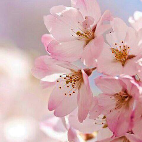 Krishka 🇷🇺 post 3