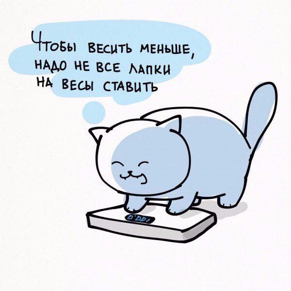 Krishka 🇷🇺 post 3