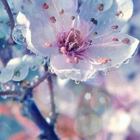 Krishka 🇷🇺 post 1