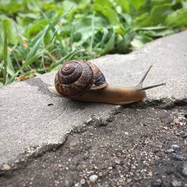 Krishka 🇷🇺 post 2