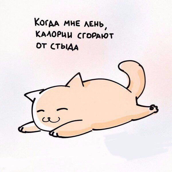 Krishka 🇷🇺 post 1