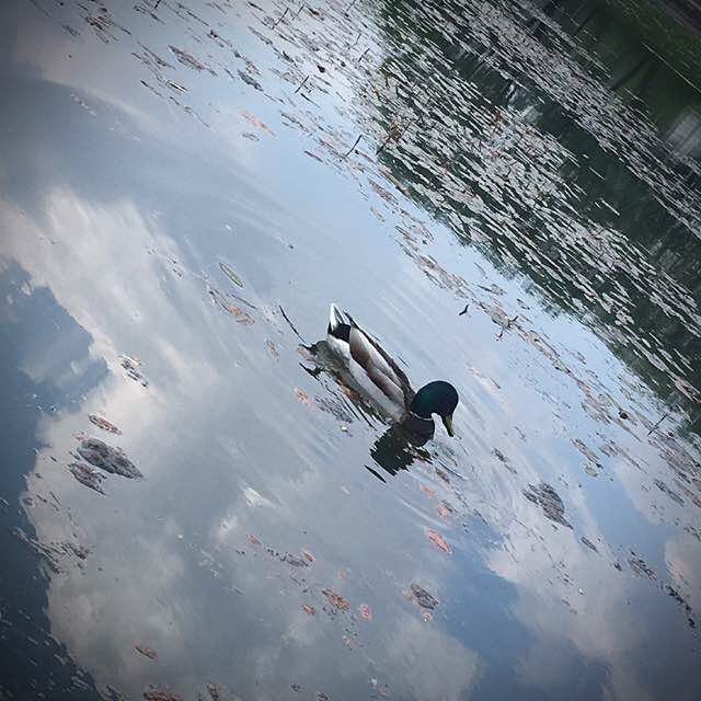 Krishka 🇷🇺 post 3