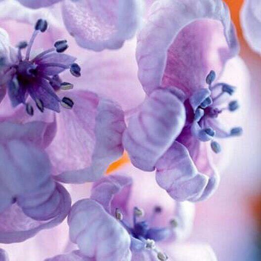 Krishka 🇷🇺 post 2