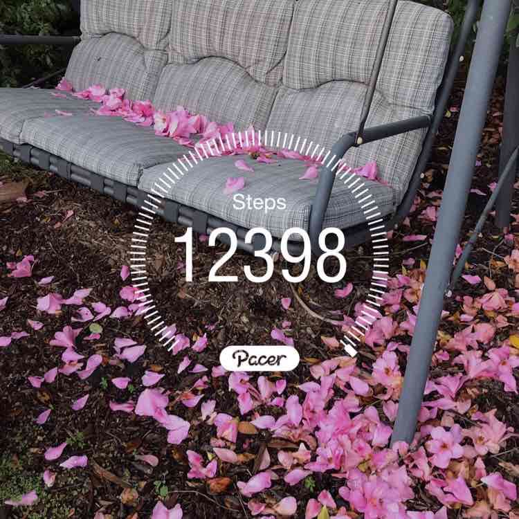 Unshakably content post 1