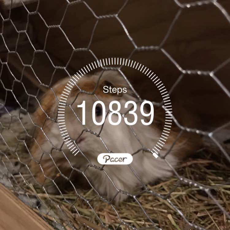 Unshakably content post 1