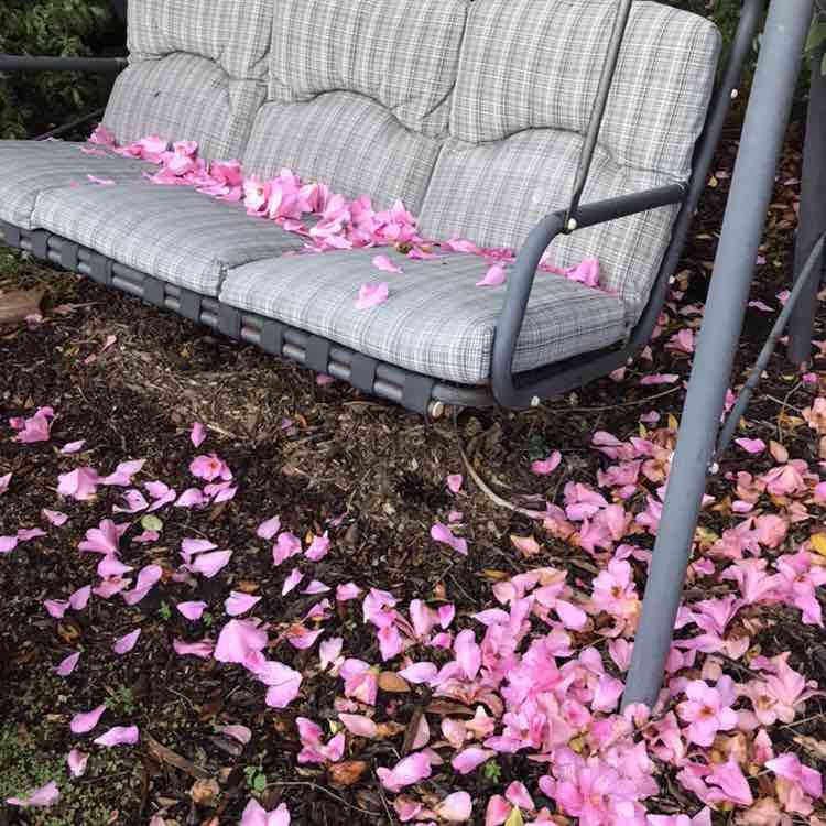 Unshakably content post 1