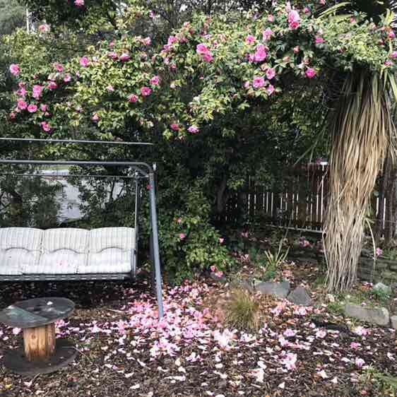 Unshakably content post 2