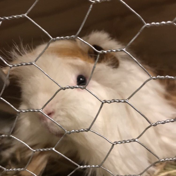 Unshakably content post 2