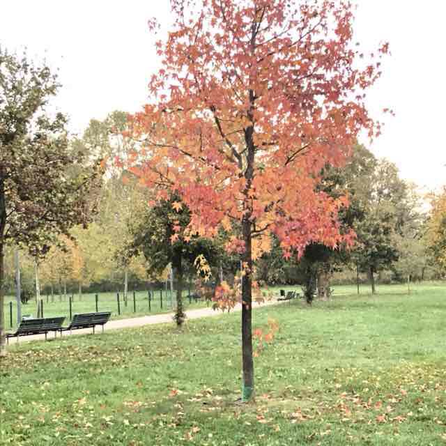 Gigi_1946 post 2
