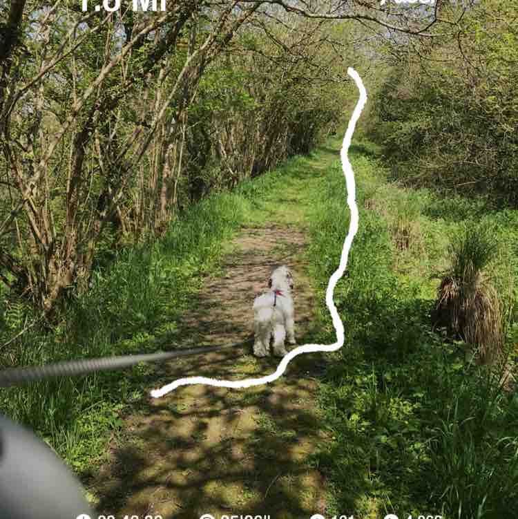 Oldwindypoo1944 post 1