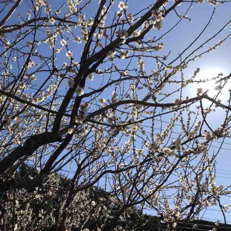 まさゆき_2021 post 1