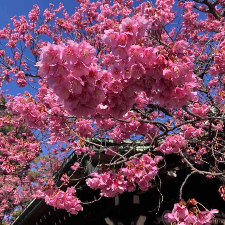 まさゆき_2021 post 1