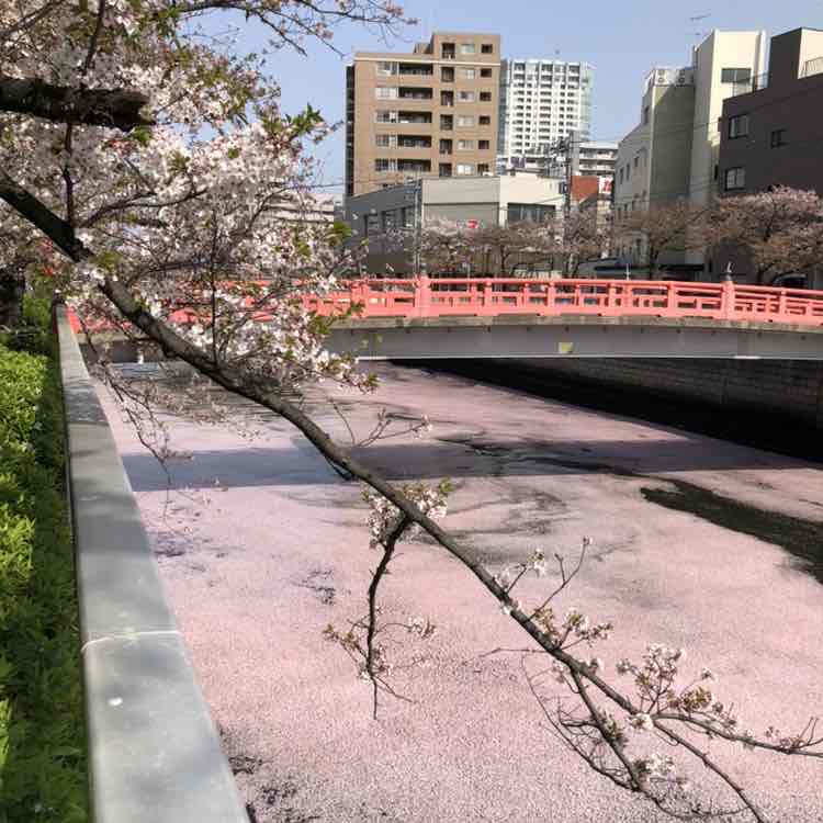 まさゆき_2021 post 1