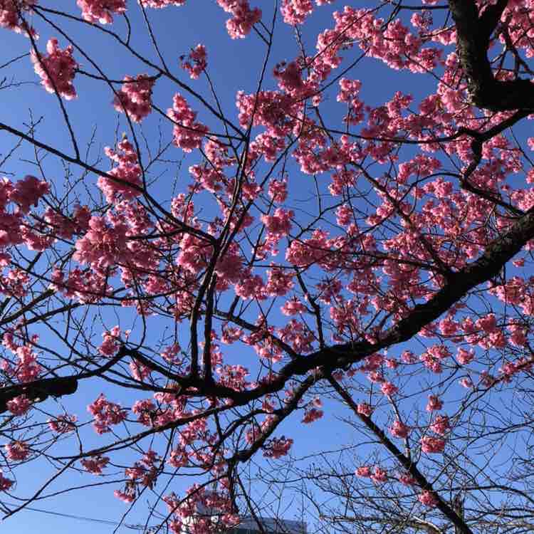 まさゆき_2021 post 2