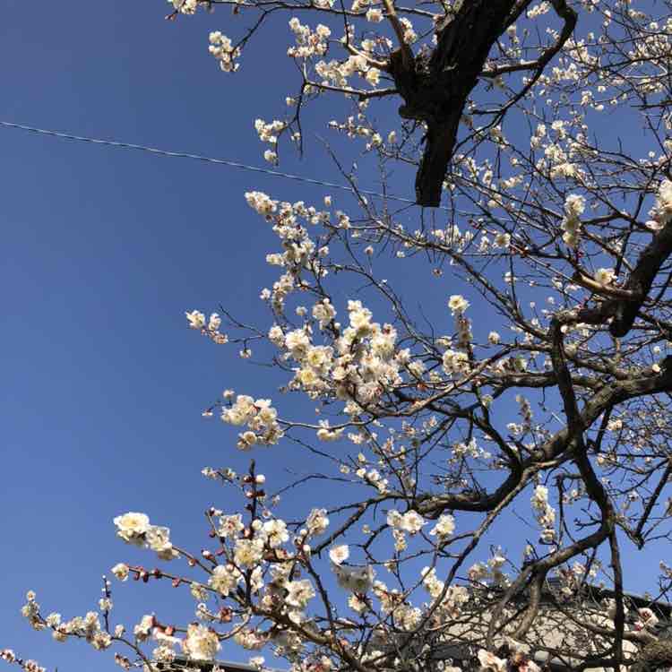 まさゆき_2021 post 1