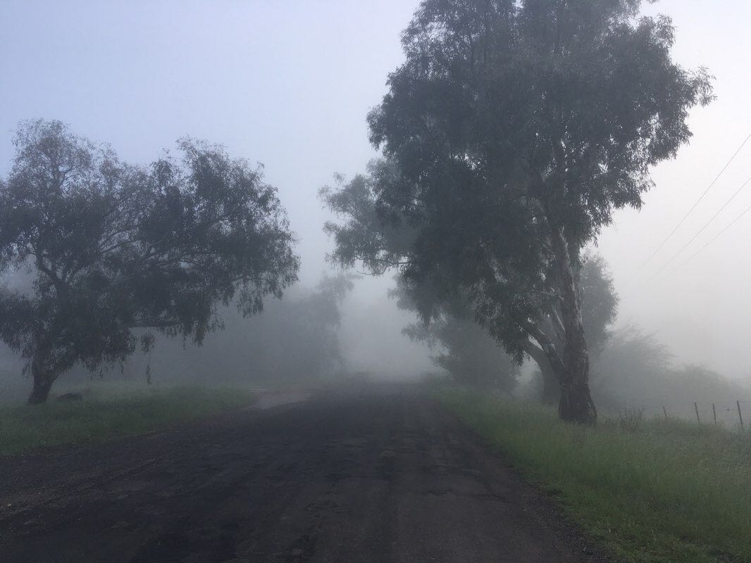 walking near me in Victoria Park in summer