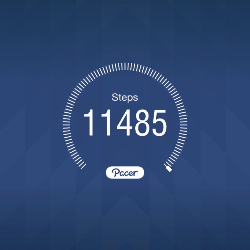 PacerGal_1954 post 1