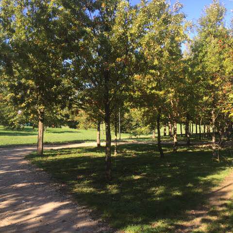 Fede🏃‍♂️🛡⚔️🚶🏻‍♂️ post 3