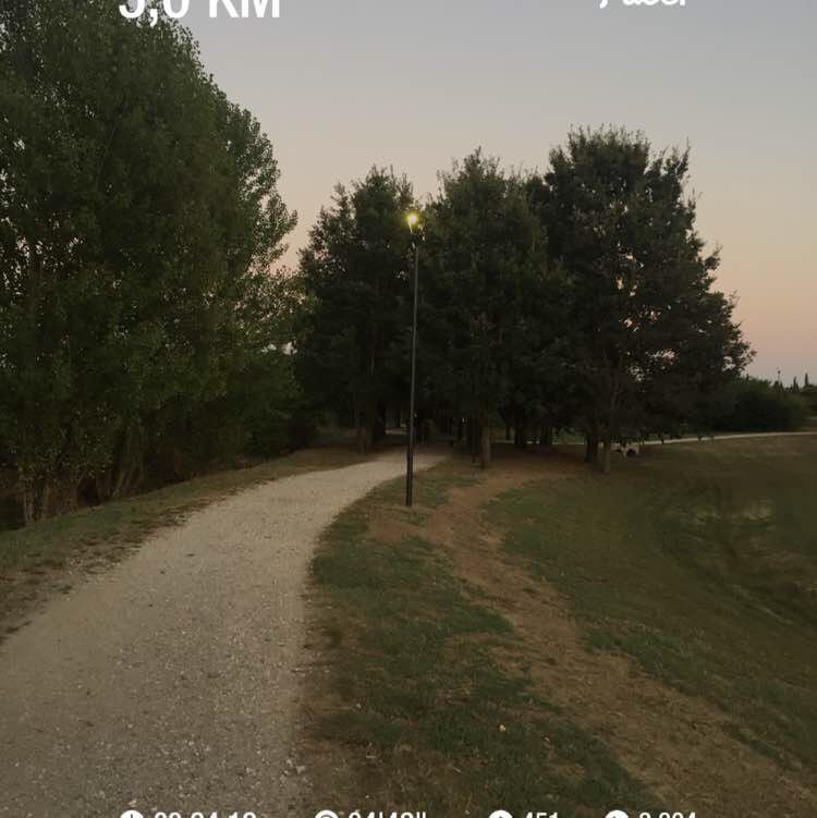 Fede🏃‍♂️🛡⚔️🚶🏻‍♂️ post 1