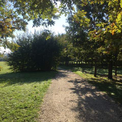 Fede🏃‍♂️🛡⚔️🚶🏻‍♂️ post 2