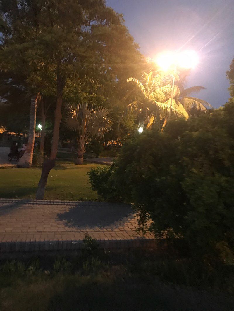 walking near me in Hilal Park in winter