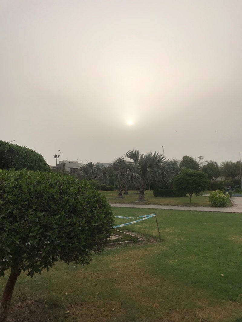 walking near me in Rahat Park in winter