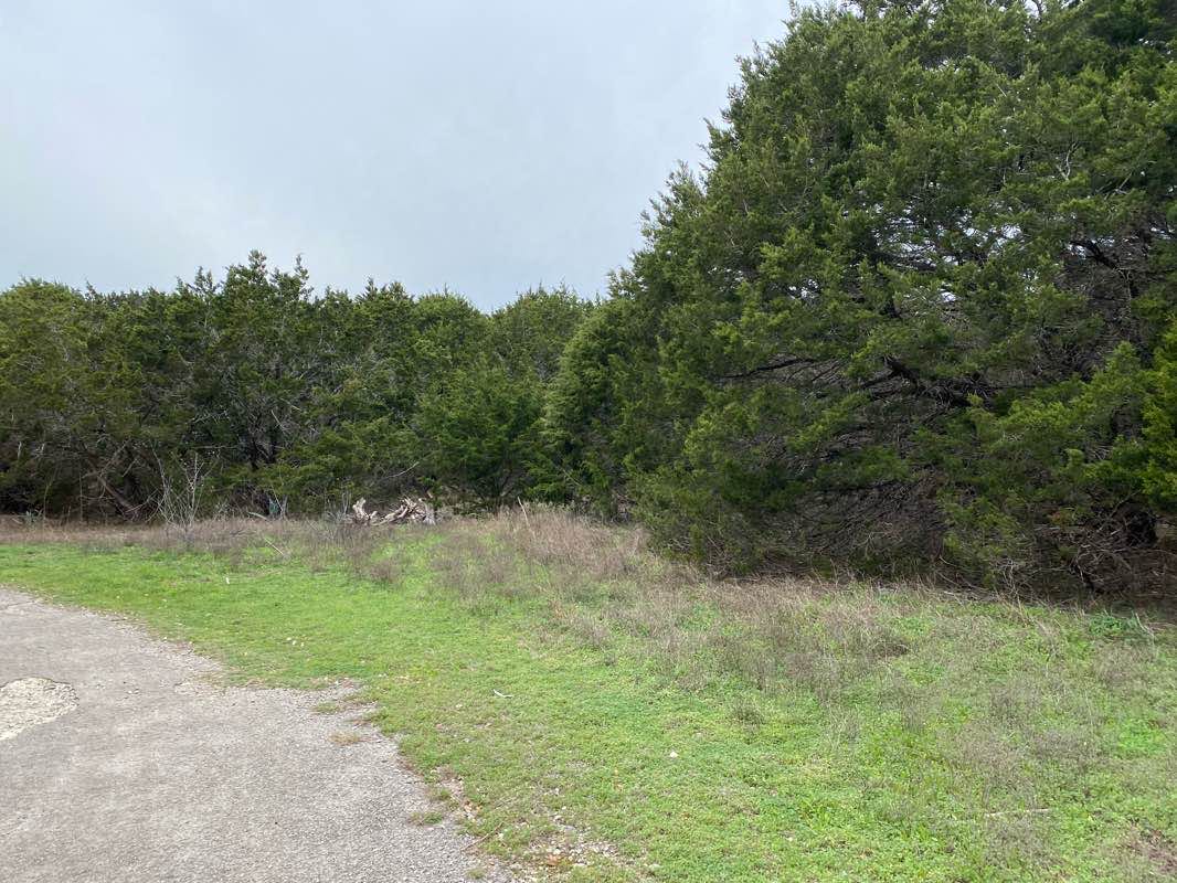 walking near me in Mary Moore Searight Metropolitan Park in winter