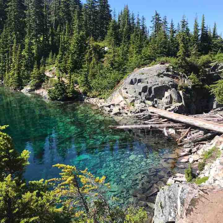 PacerGuy_1959 post 1