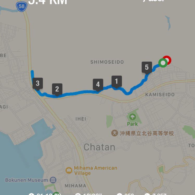 Hakuna Matata post 1