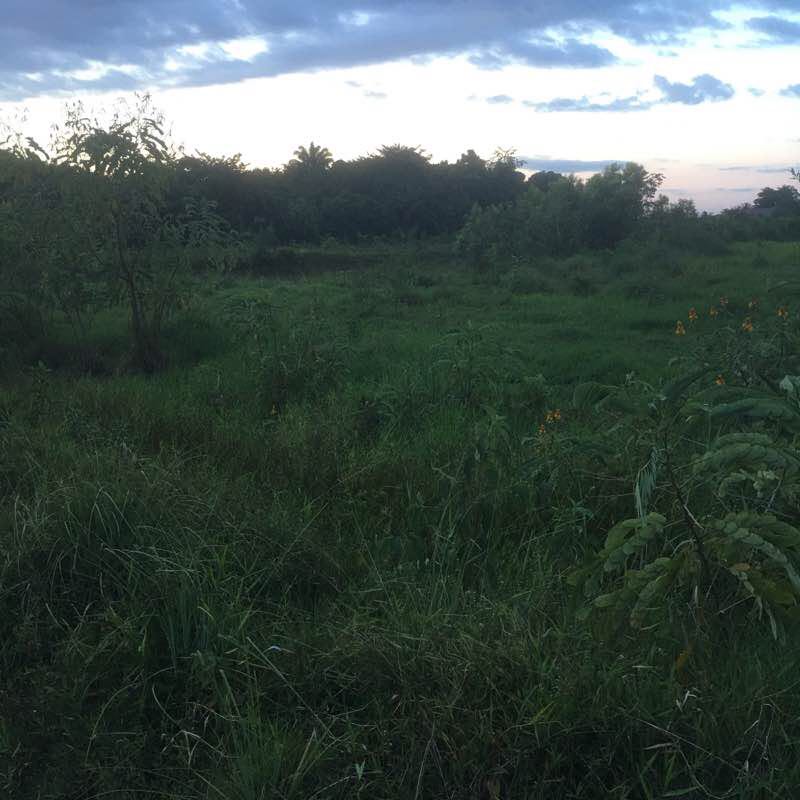 Lucas Hoepel CGY post 2