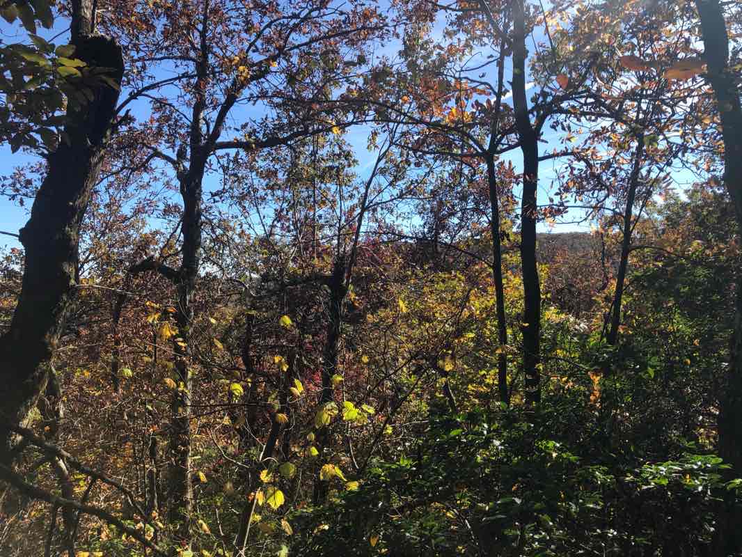 walking near me in Mark Trail Wilderness in winter