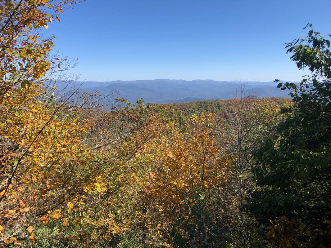 walking near me in Brasstown Wilderness in winter
