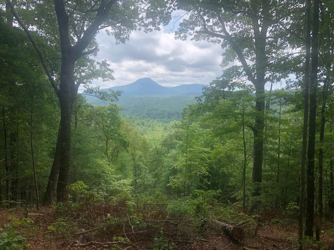 walking near me in Smithgall Woods State Park in winter