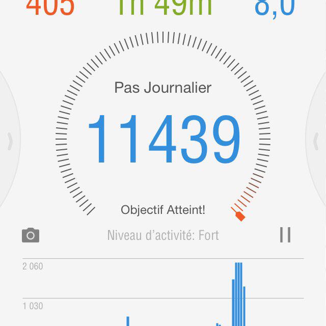 caty 🦎🏝🌞 post 1