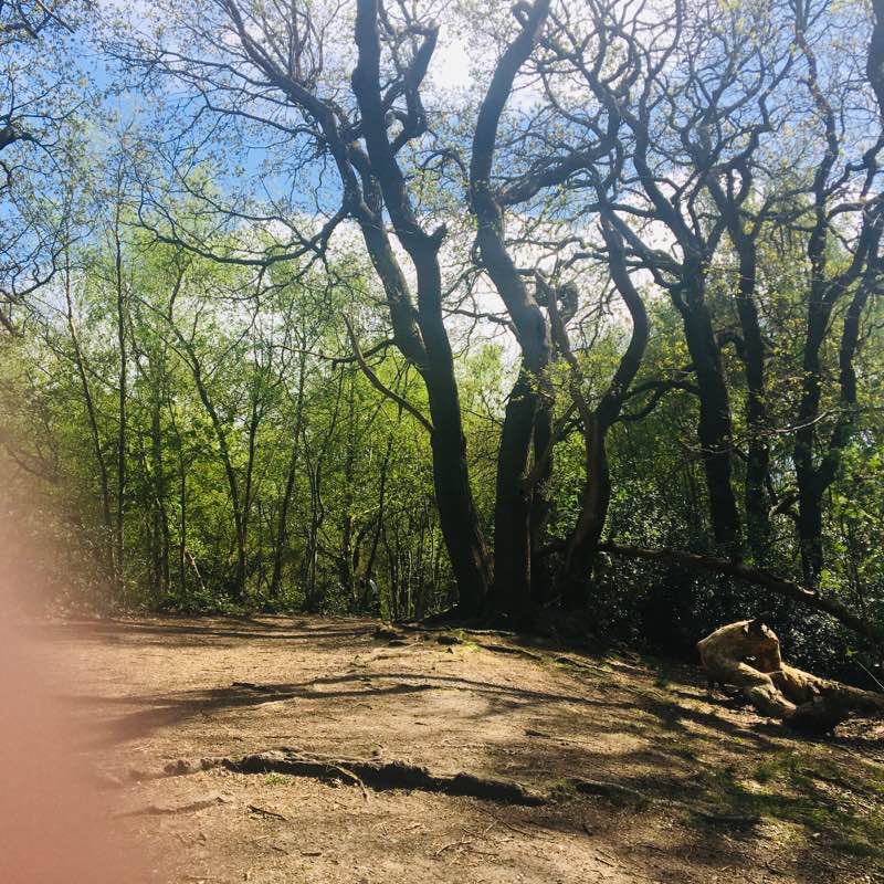 walking near me in South Croydon Recreation Ground in winter