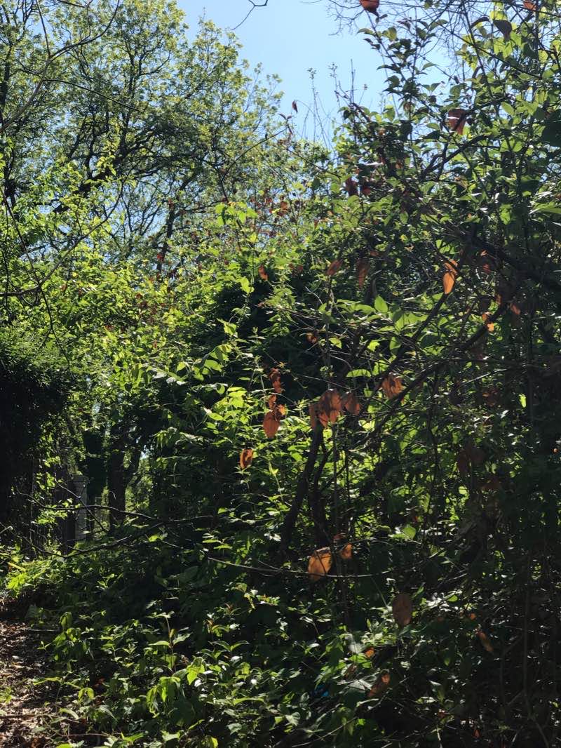 walking near me in Lancaster City Park in winter