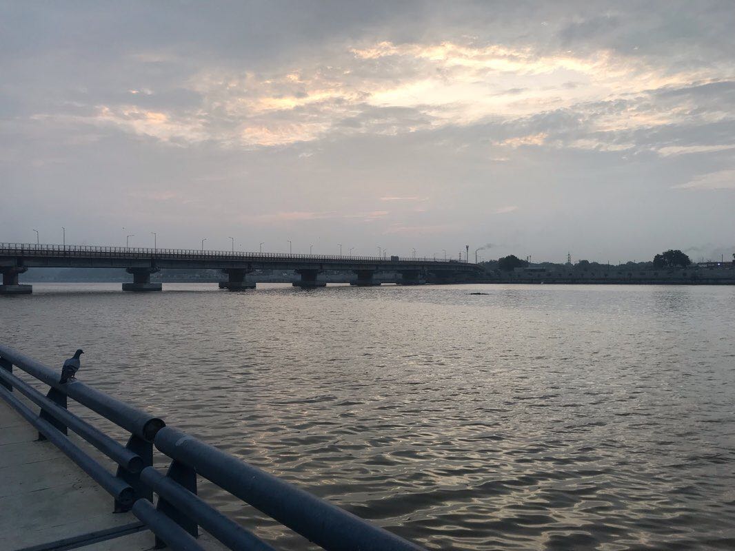 walking near me in Flower Park, Sabarmati Riverfront in winter