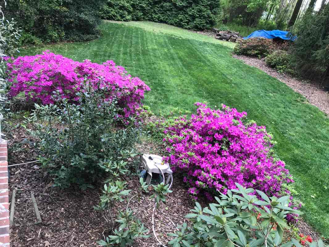 walking near me in Odenton Park in winter
