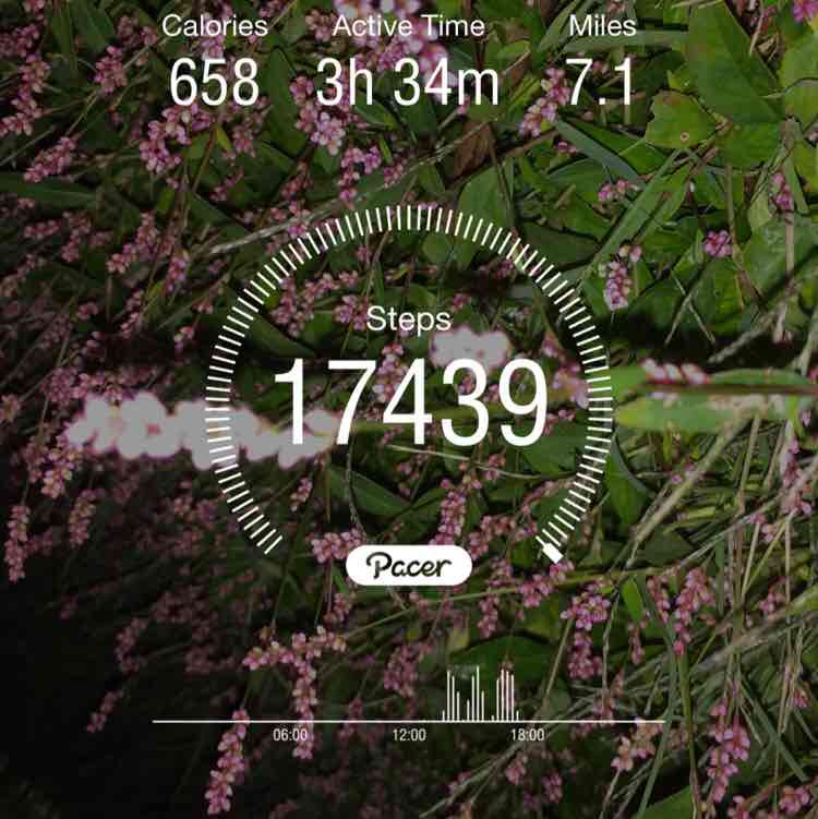 vonte & jocko post 1