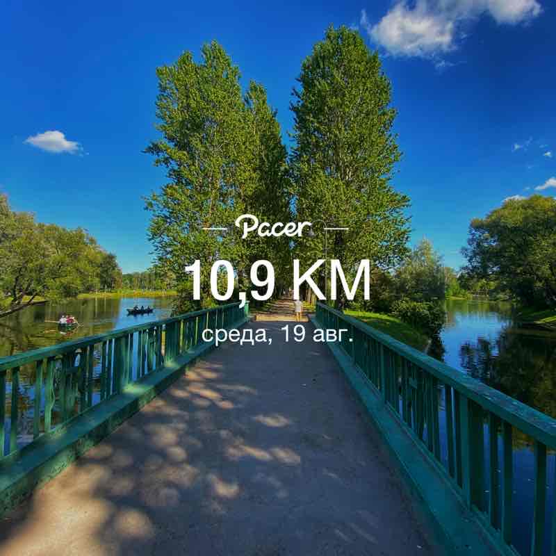 PacerЛейди post 1