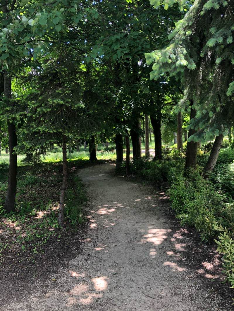 walking near me in Kiserdő - Fenyves Park in winter