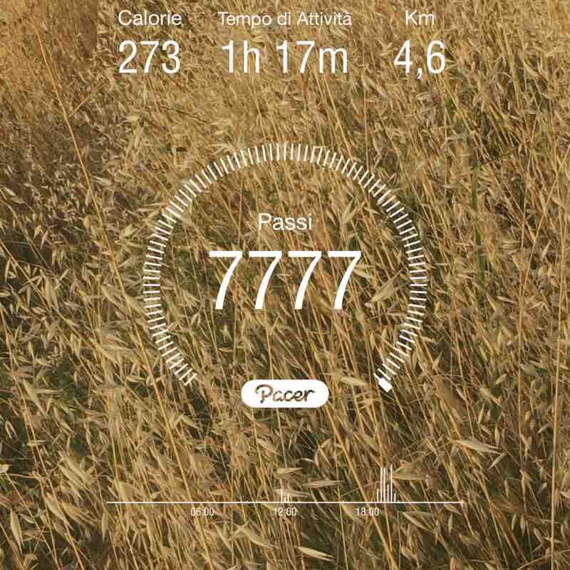 masterraymond.bursi post 1