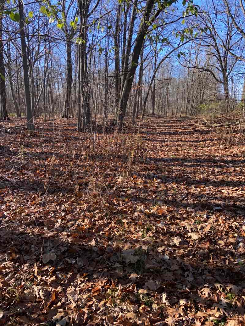 walking near me in Lower Rouge Parkway in winter