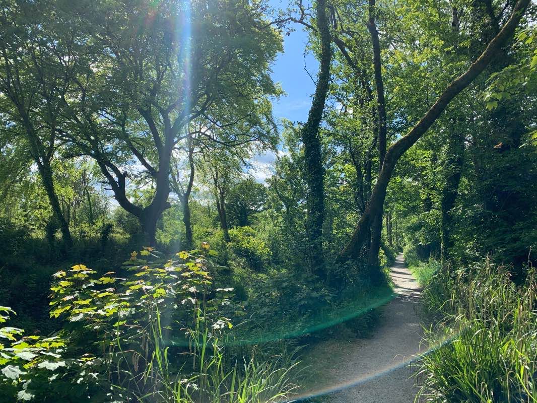 walking near me in Marina Park in winter